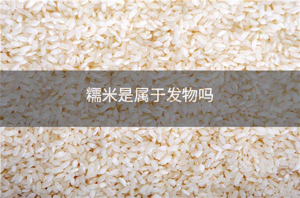糯米是属于发物吗