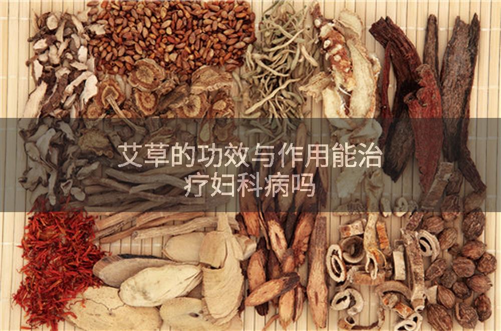 艾草的功效与作用能治疗妇科病吗