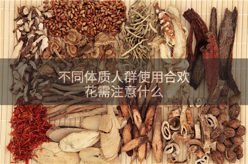 不同体质人群使用合欢花需注意什么
