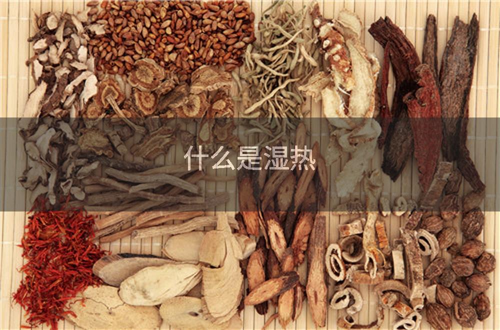 什么是湿热