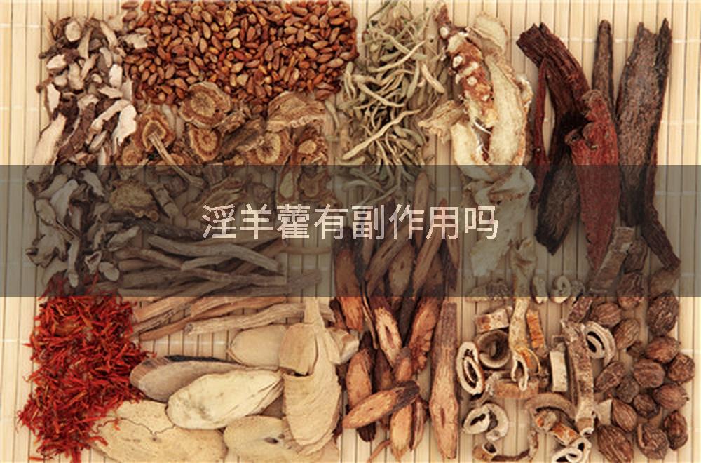 淫羊藿有副作用吗