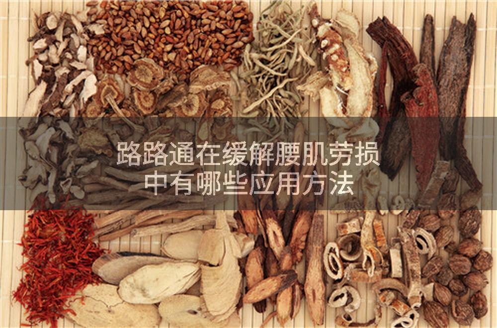 路路通在缓解腰肌劳损中有哪些应用方法