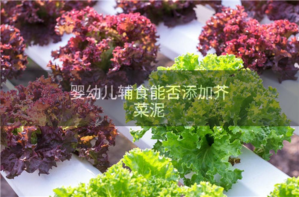 婴幼儿辅食能否添加芥菜泥