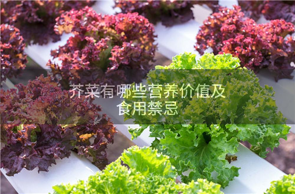 芥菜有哪些营养价值及食用禁忌