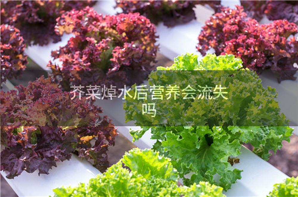 芥菜焯水后营养会流失吗