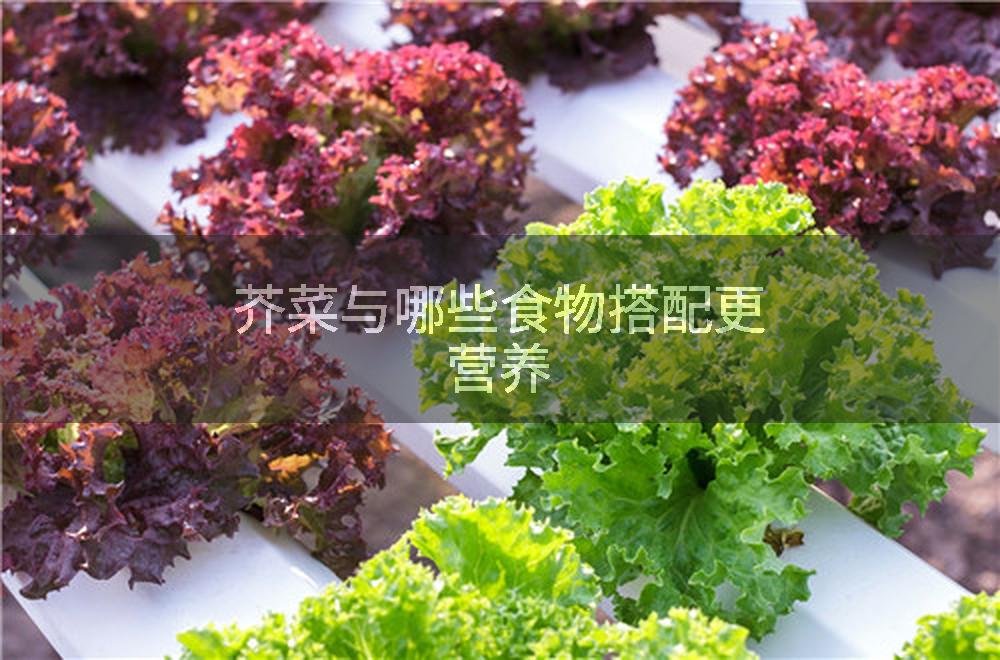 芥菜与哪些食物搭配更营养