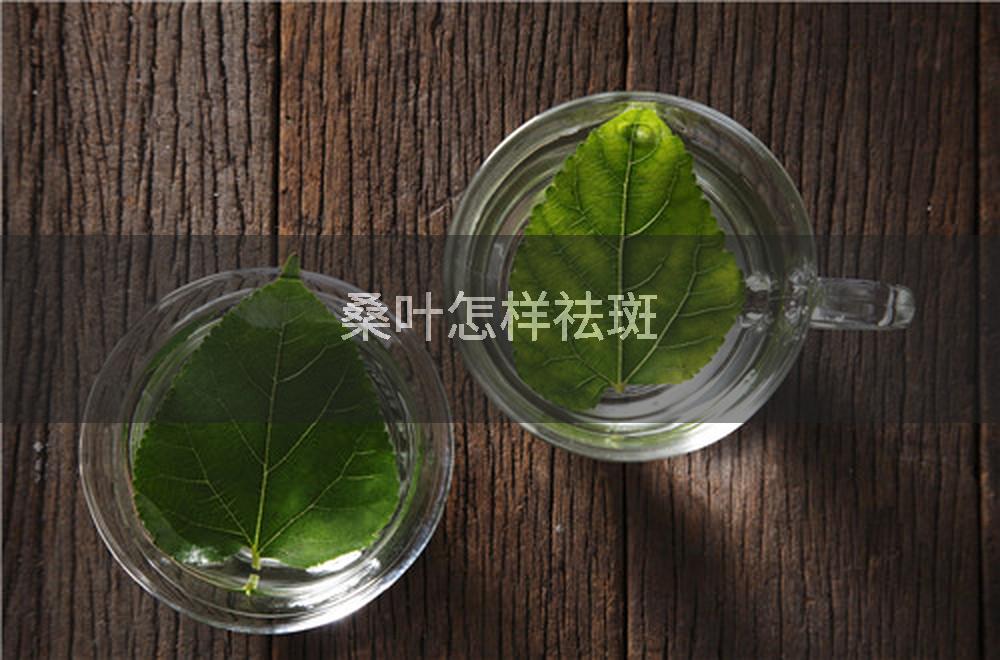 桑叶怎样祛斑