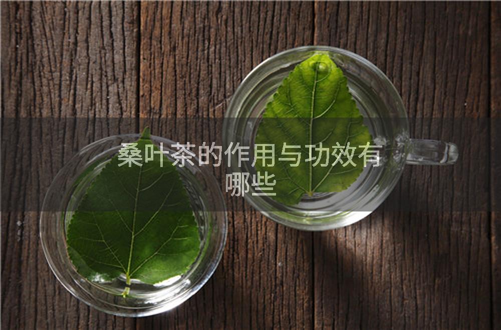 桑叶茶的作用与功效有哪些