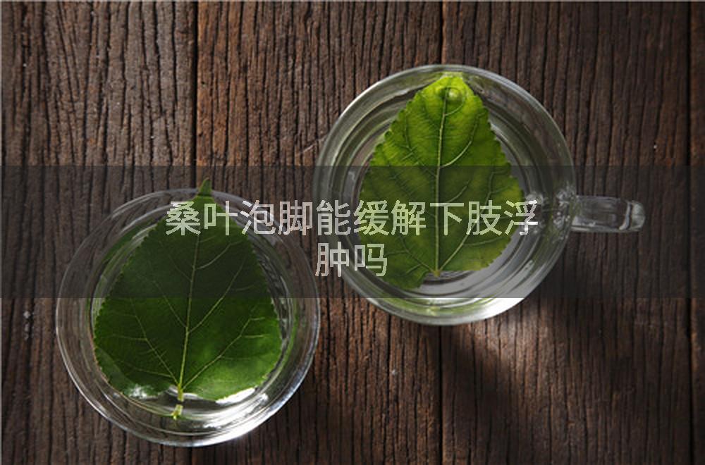 桑叶泡脚能缓解下肢浮肿吗