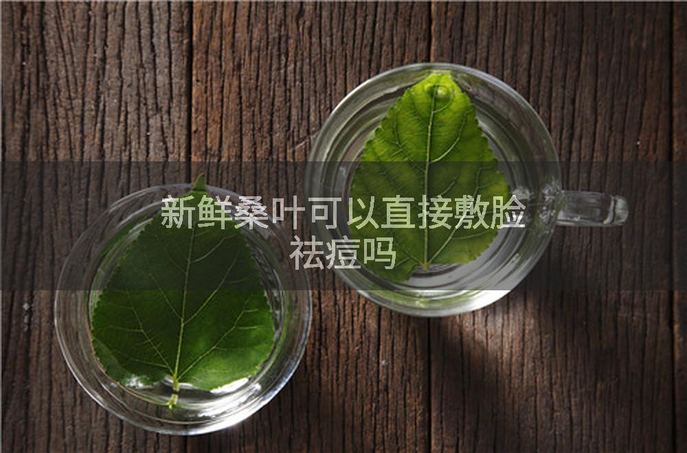 新鲜桑叶可以直接敷脸祛痘吗