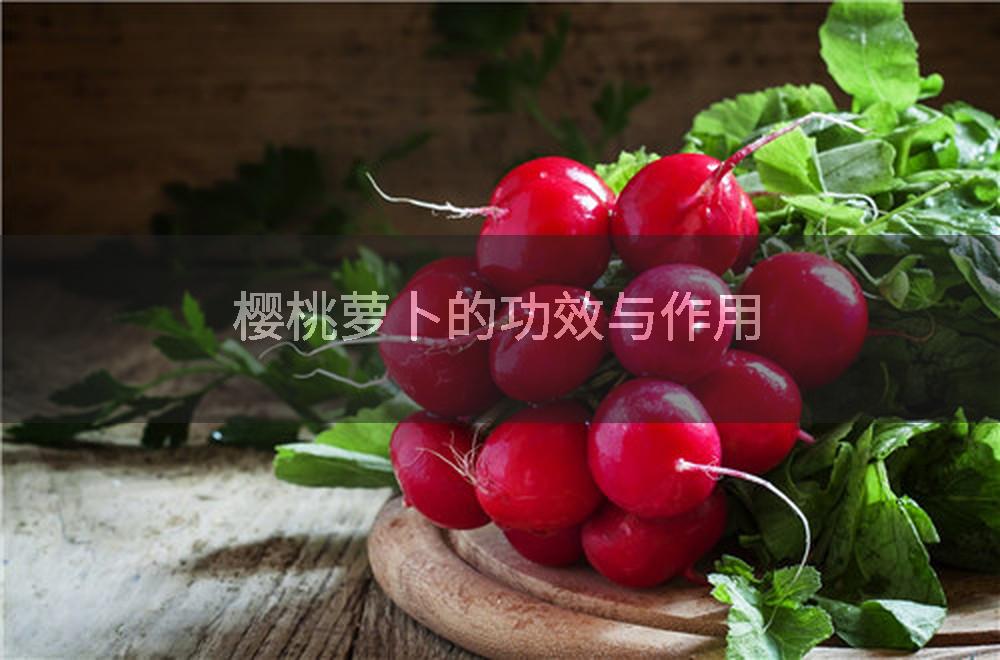 樱桃萝卜的功效与作用