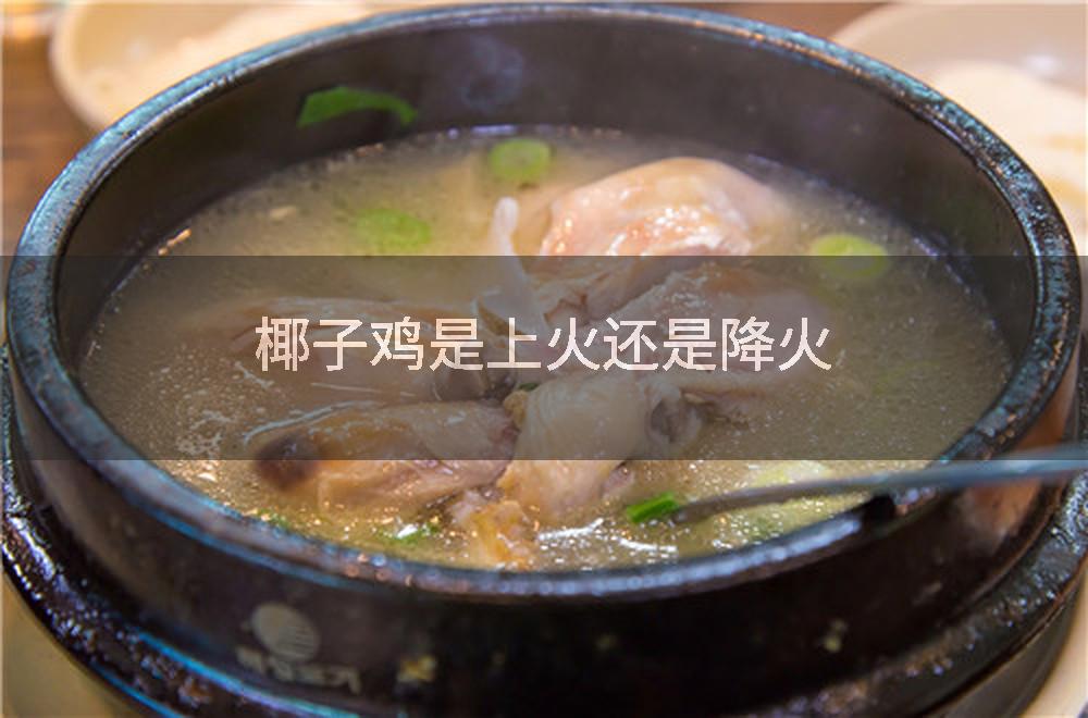 椰子鸡是上火还是降火