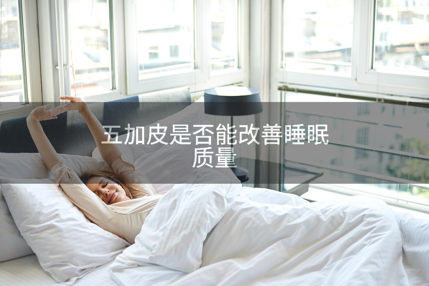 五加皮是否能改善睡眠质量