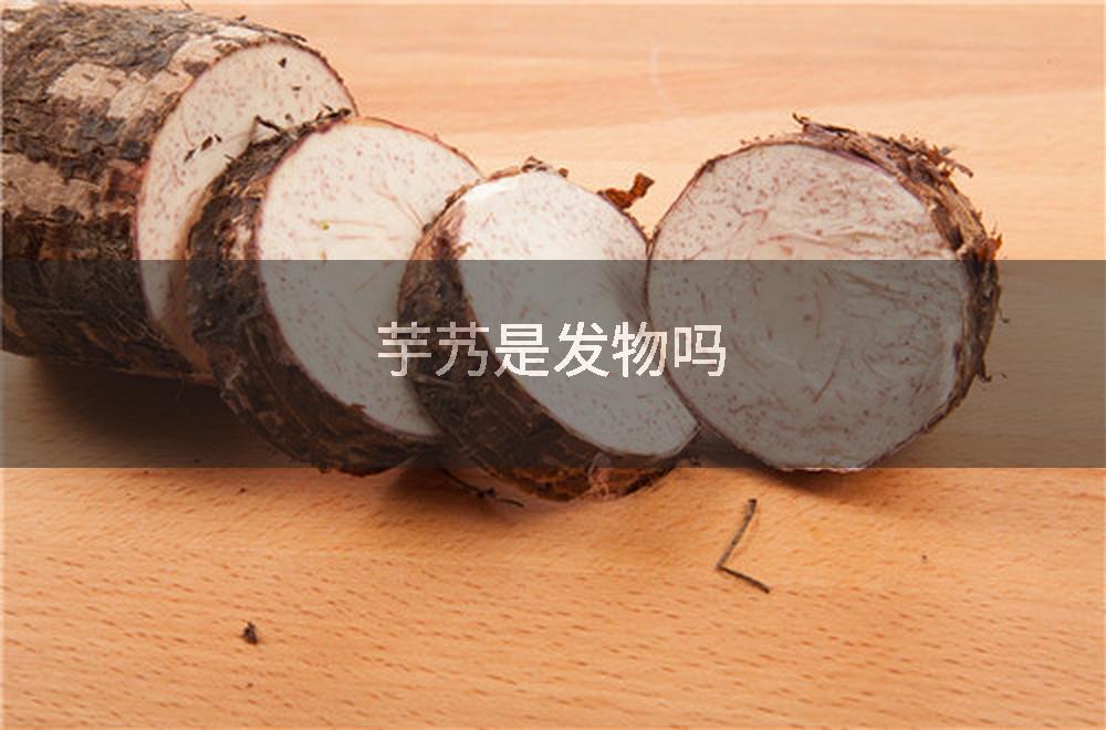 芋艿是发物吗