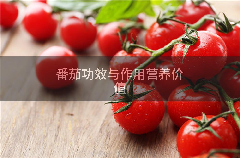 番茄功效与作用营养价值