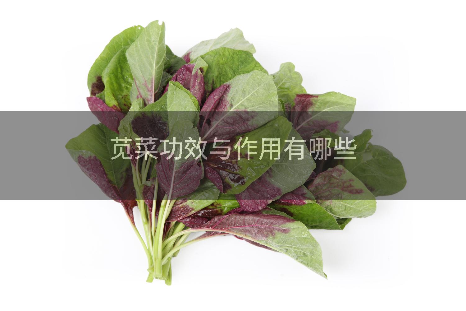 苋菜功效与作用有哪些
