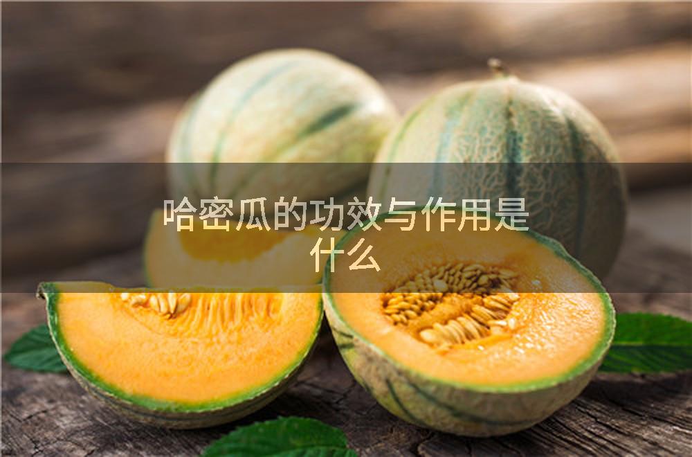 哈密瓜的功效与作用是什么