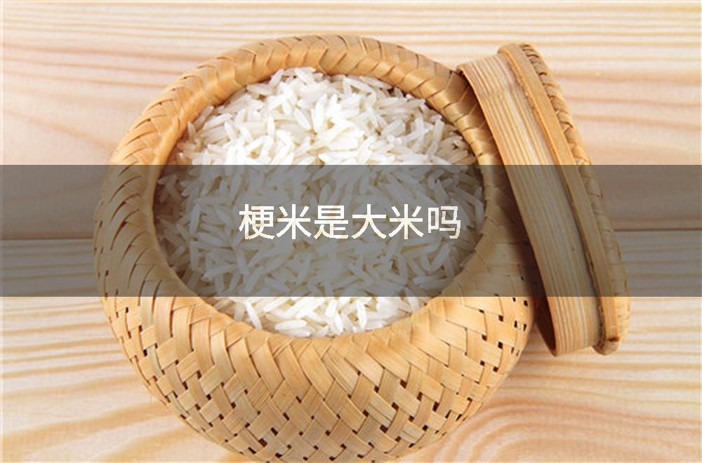 梗米是大米吗
