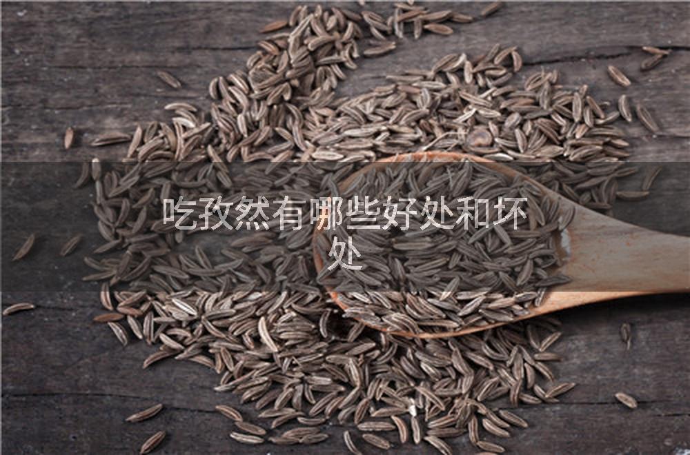 吃孜然有哪些好处和坏处