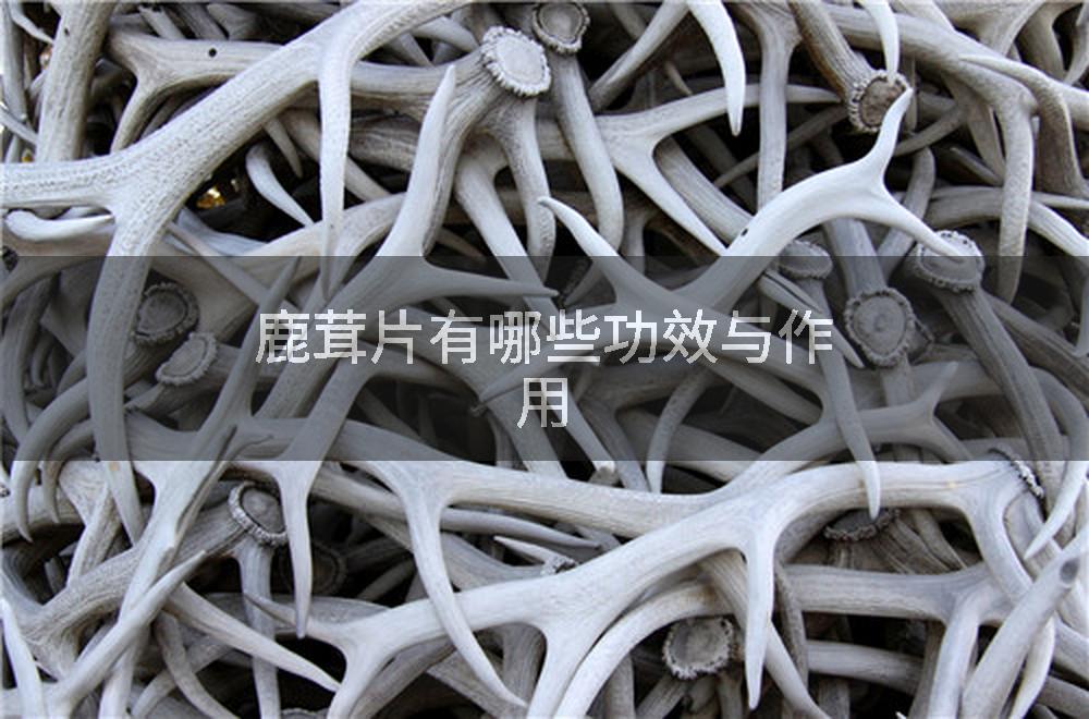 鹿茸片有哪些功效与作用