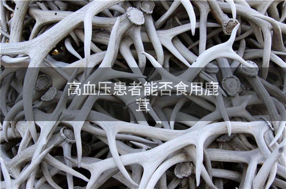 高血压患者能否食用鹿茸