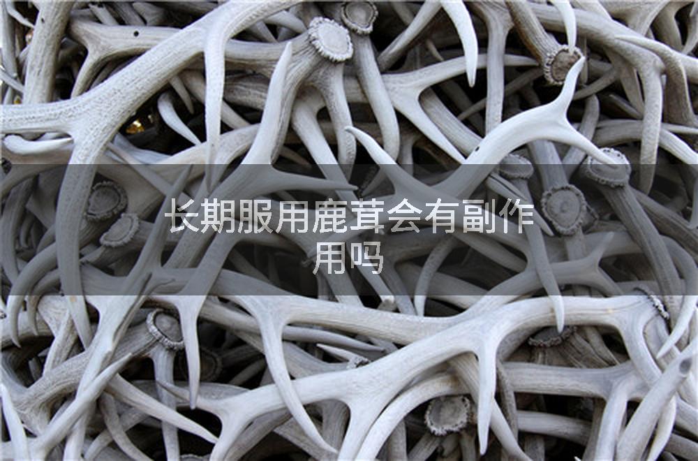 长期服用鹿茸会有副作用吗