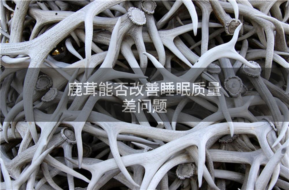 鹿茸能否改善睡眠质量差问题