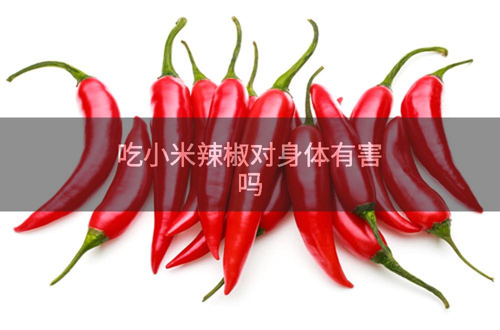 吃小米辣椒对身体有害吗