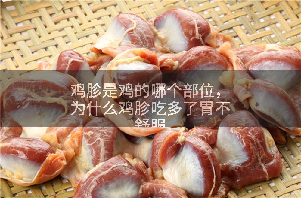 鸡胗是鸡的哪个部位，为什么鸡胗吃多了胃不舒服