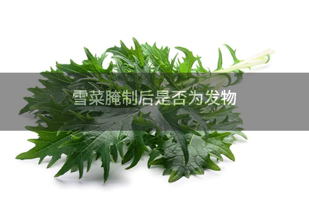 雪菜腌制后是否为发物
