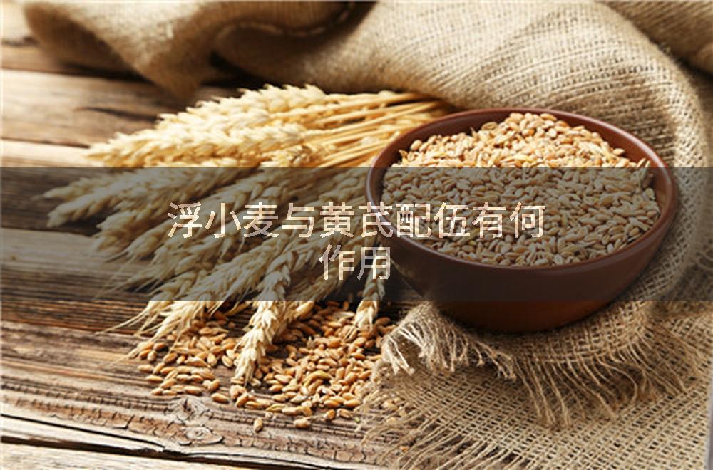 浮小麦与黄芪配伍有何作用