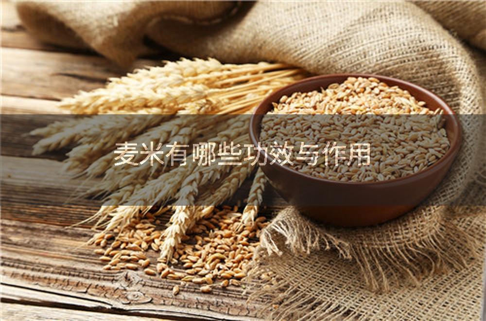 麦米有哪些功效与作用