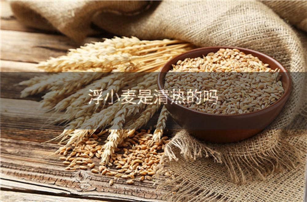 浮小麦是清热的吗