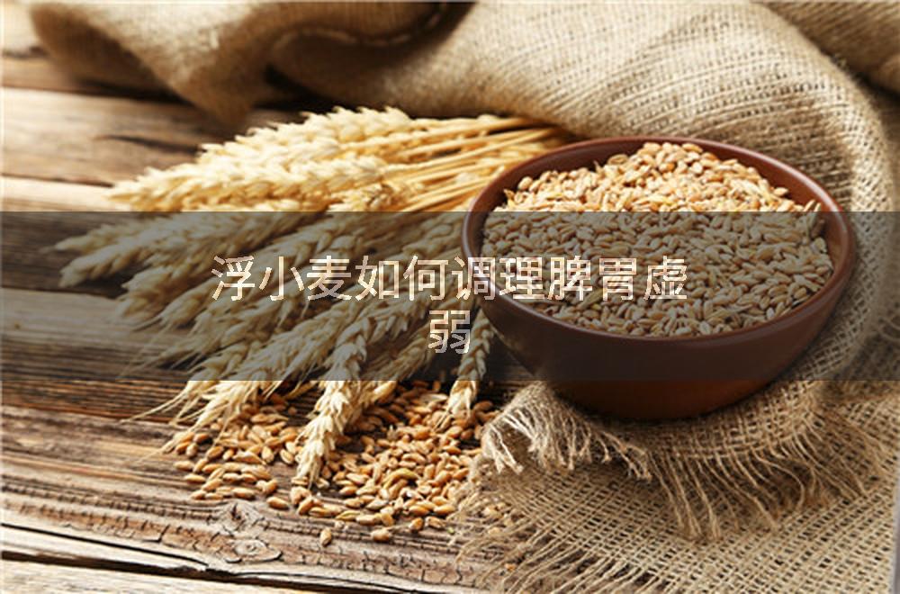 浮小麦如何调理脾胃虚弱
