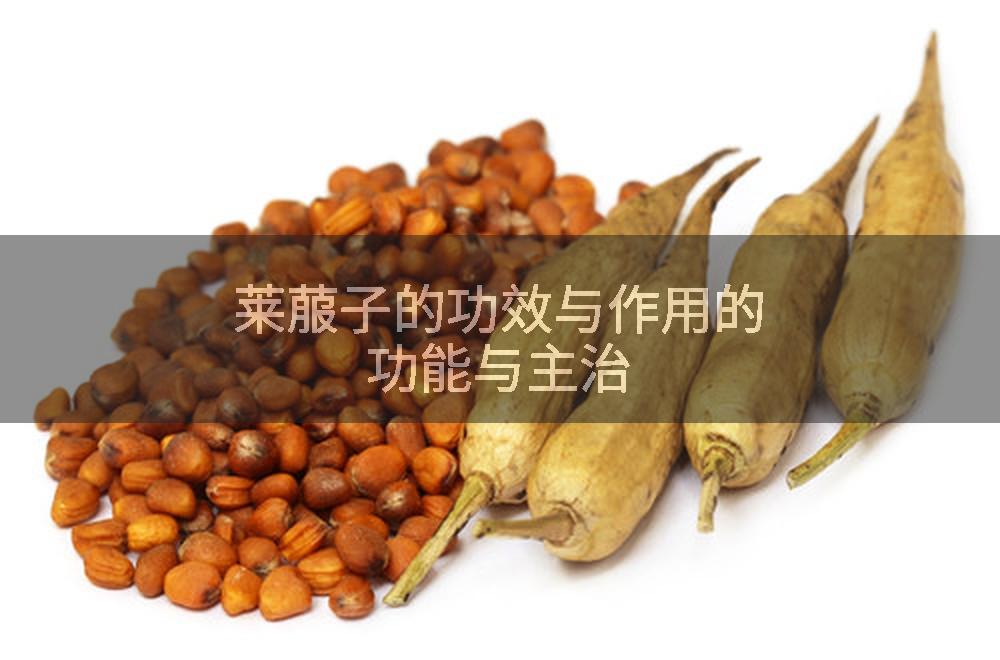莱菔子的功效与作用的功能与主治