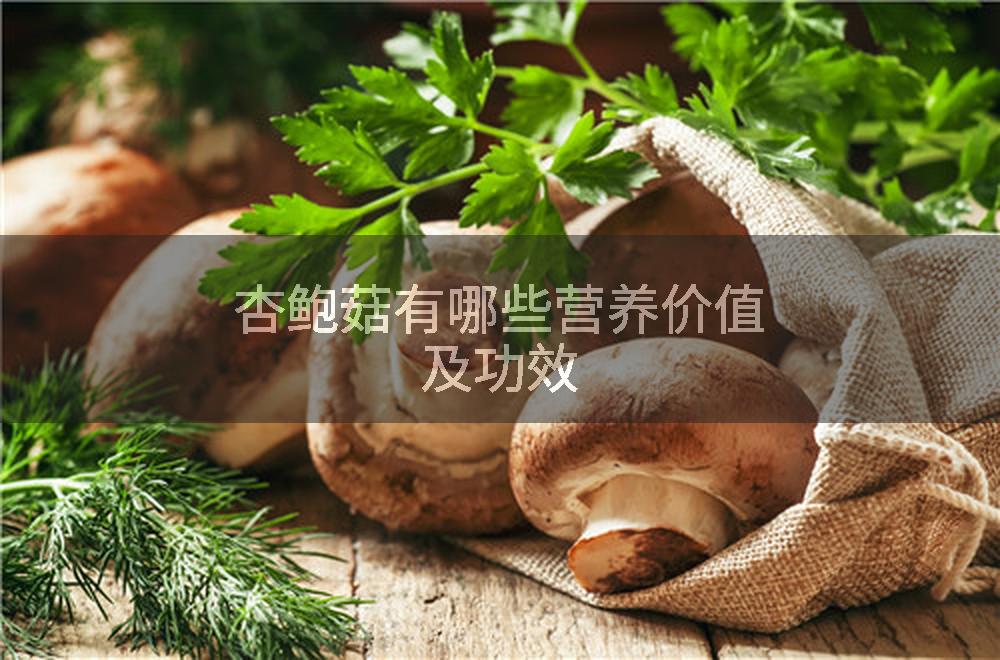 杏鲍菇有哪些营养价值及功效