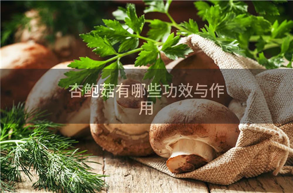 杏鲍菇有哪些功效与作用
