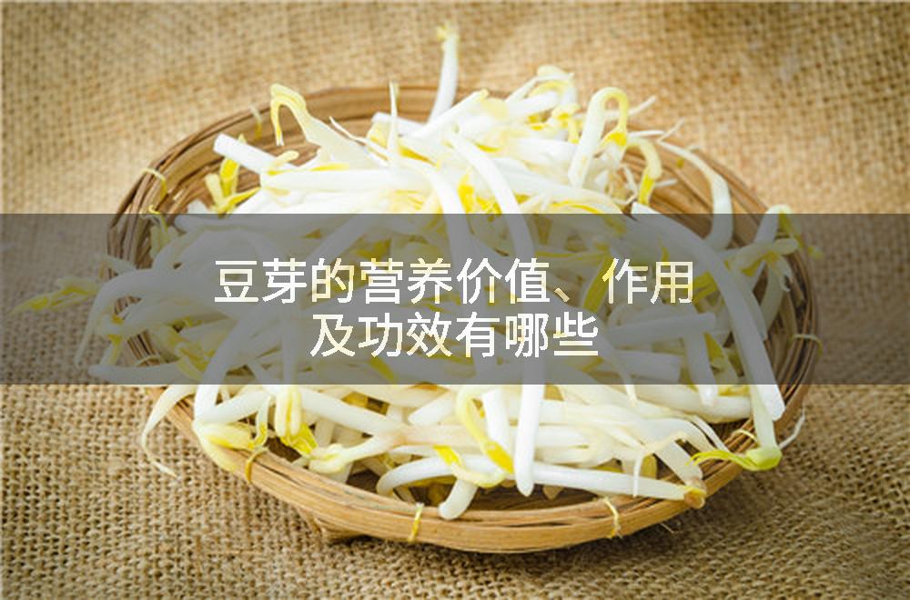 豆芽的营养价值、作用及功效有哪些