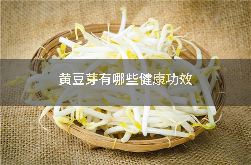 黄豆芽有哪些健康功效