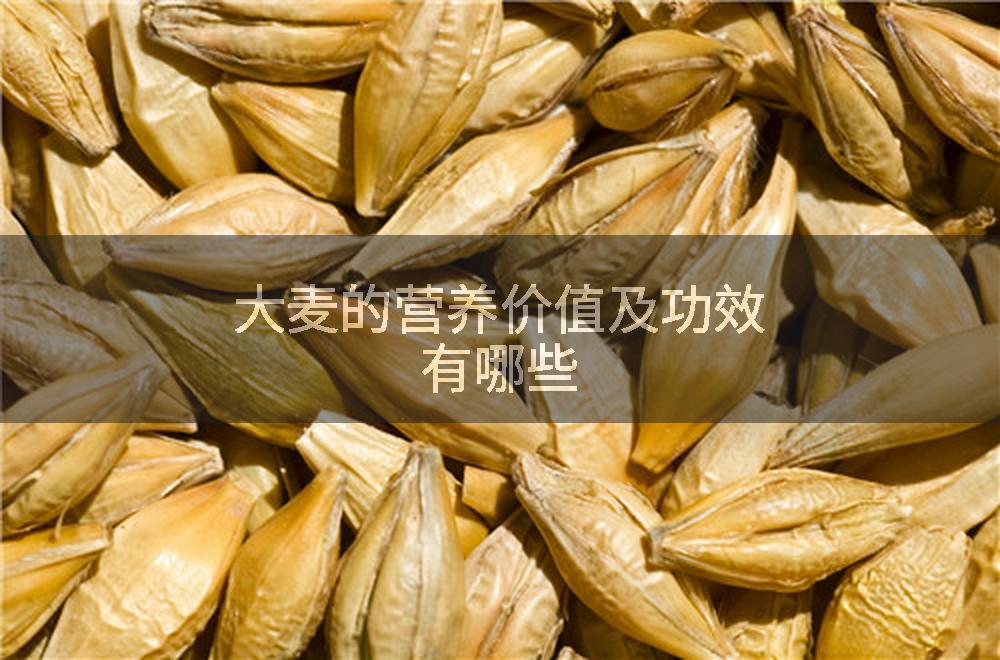 大麦的营养价值及功效有哪些