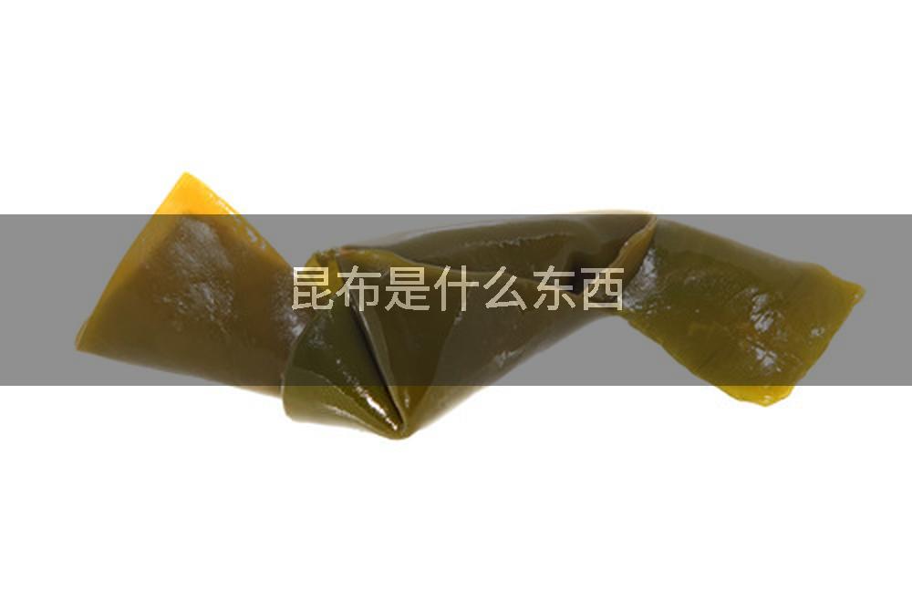 昆布是什么东西