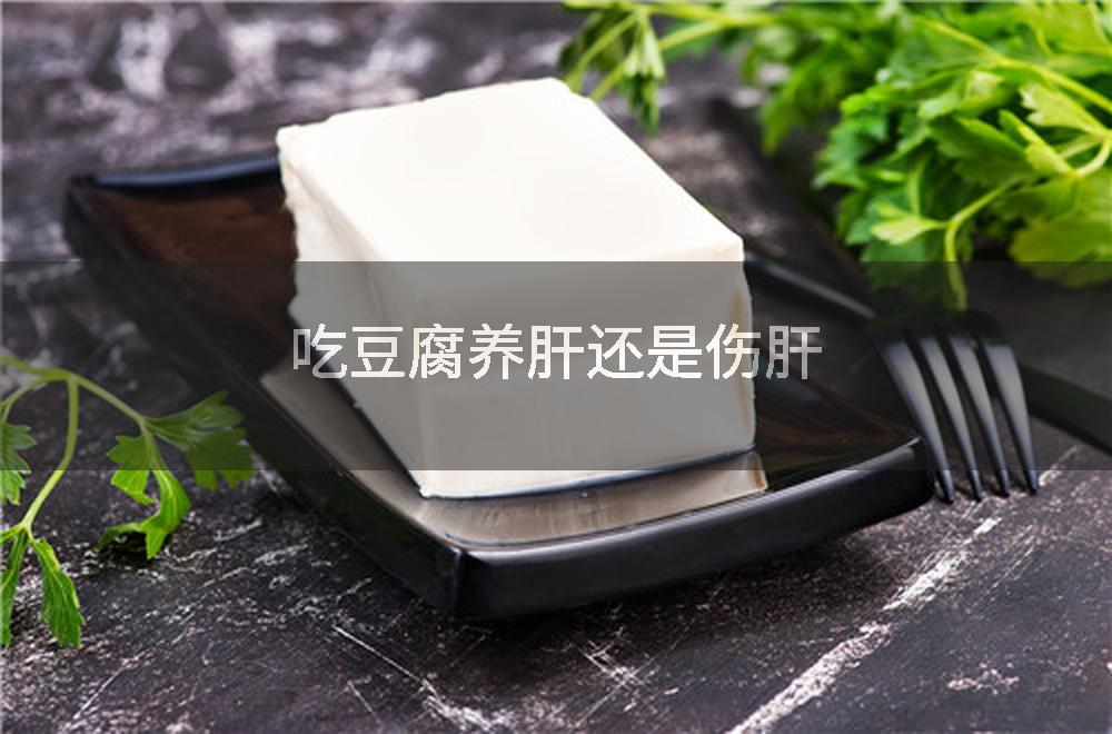 吃豆腐养肝还是伤肝
