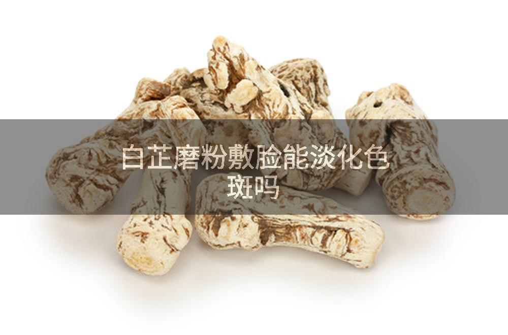 白芷磨粉敷脸能淡化色斑吗