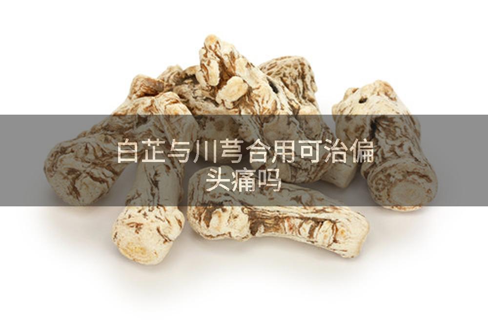 白芷与川芎合用可治偏头痛吗