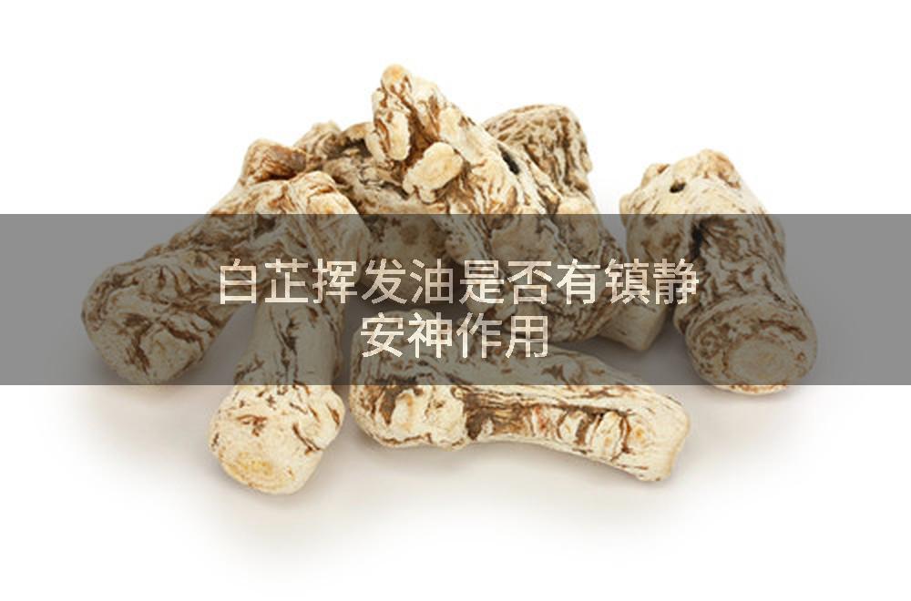 白芷挥发油是否有镇静安神作用