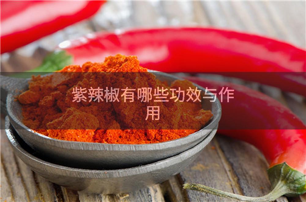紫辣椒有哪些功效与作用