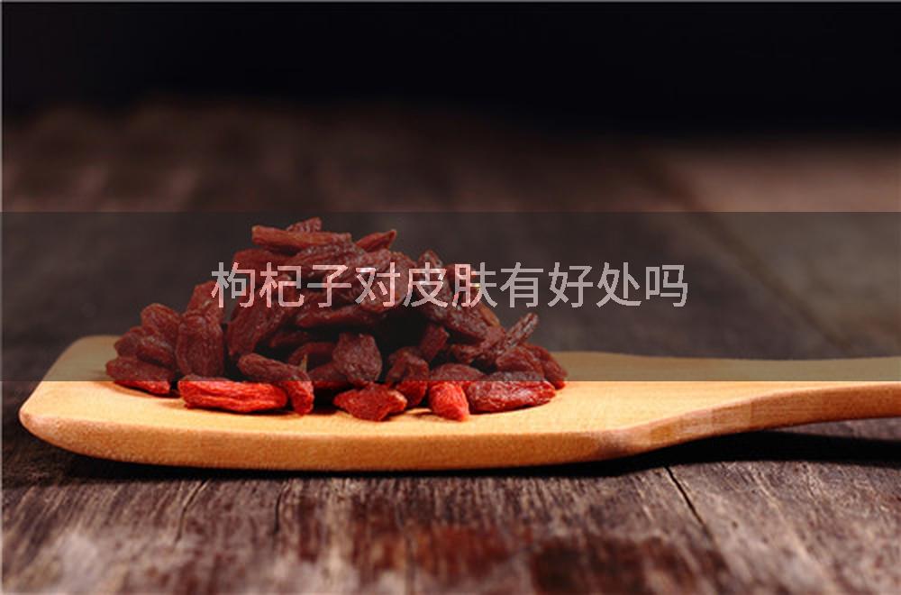 枸杞子对皮肤有好处吗