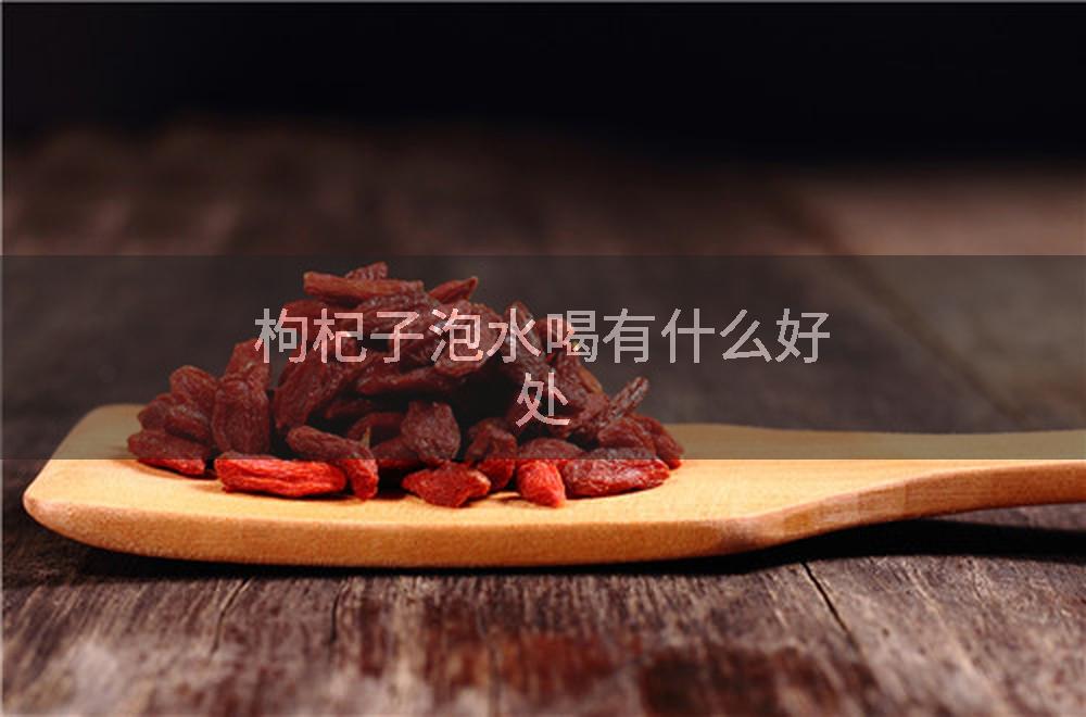 枸杞子泡水喝有什么好处