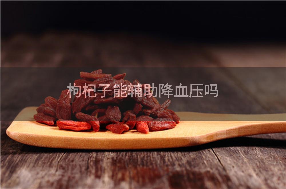 枸杞子能辅助降血压吗