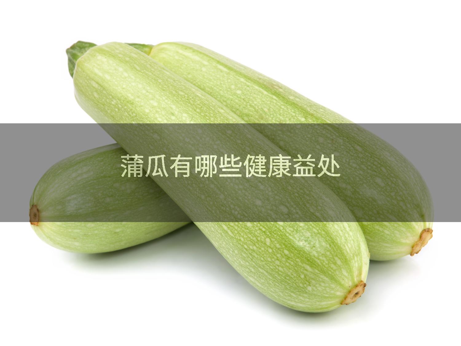 蒲瓜有哪些健康益处